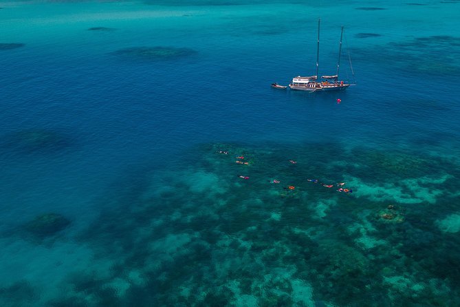 Ocean Free Green Island and Great Barrier Reef Snorkel Cruise - Exploring Green Island