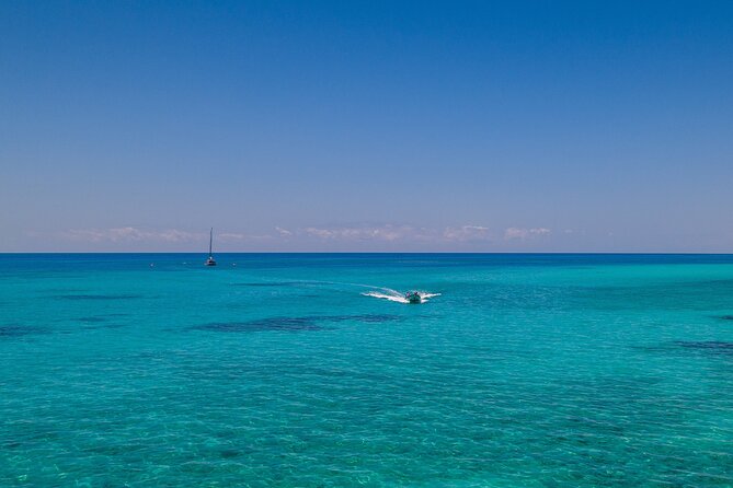 Ocean Free Green Island and Great Barrier Reef Snorkel Cruise - Highlights of the Experience