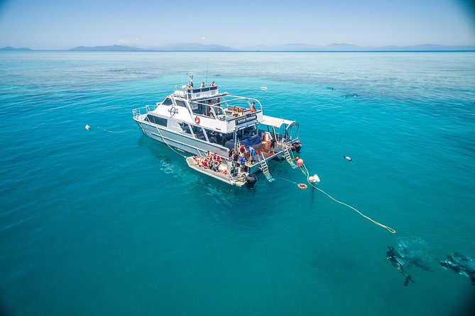 Ocean Freedom Great Barrier Reef Luxury Snorkel and Dive Cruise - Dining and Refreshments