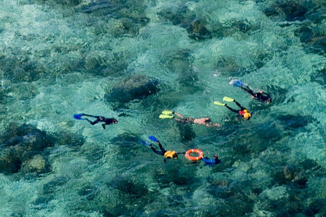 Ocean Freedom Great Barrier Reef Luxury Snorkel and Dive Cruise - Snorkeling and Diving