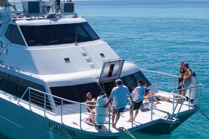 Ocean Freedom Great Barrier Reef Luxury Snorkel and Dive Cruise - Additional Activities