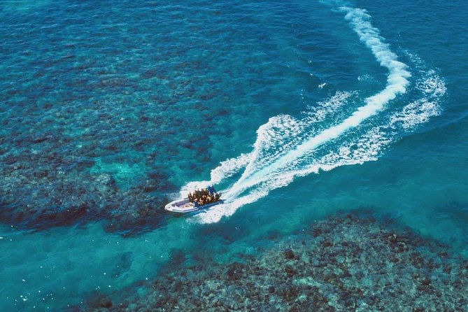 Ocean Freedom Great Barrier Reef Luxury Snorkel and Dive Cruise - Booking and Accessibility