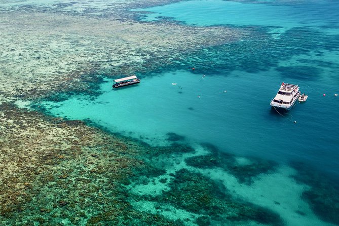 Ocean Freedom Great Barrier Reef Luxury Snorkel and Dive Cruise - Traveler Reviews