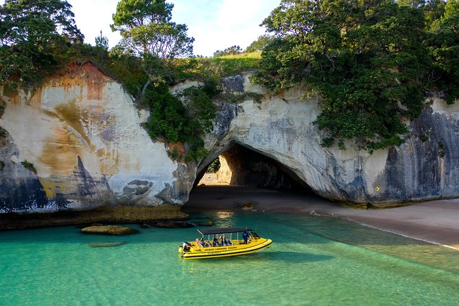 Ocean Leopard Tours - Cathedral Cove Boat Tour - Meeting Point and Pickup