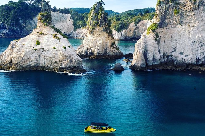 Ocean Leopard Tours - Cathedral Cove Boat Tour - Tour Inclusions and Accessibility