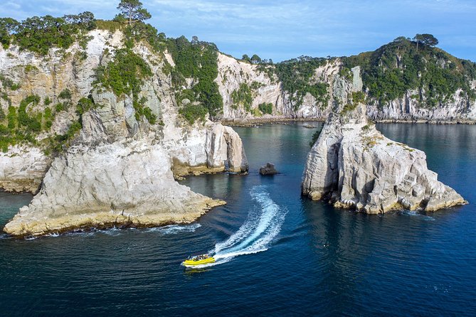 Ocean Leopard Tours - Cathedral Cove Boat Tour - Customer Reviews and Feedback