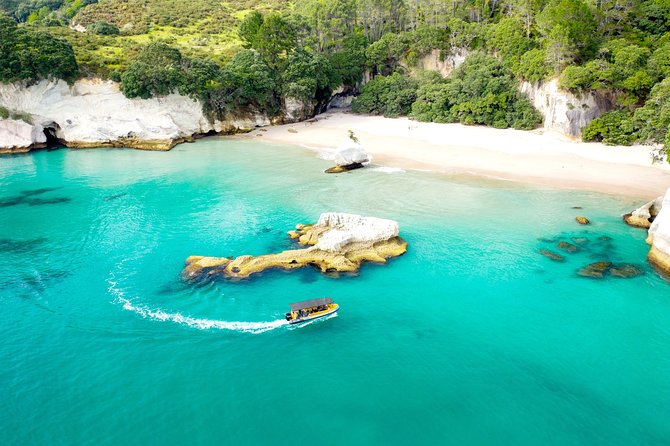 Ocean Leopard Tours - Cathedral Cove Boat Tour - Tour Duration and Group Size
