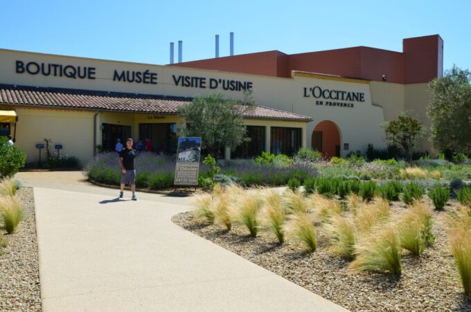 Ocean of Lavender in Valensole - Cancellation Policy and Booking