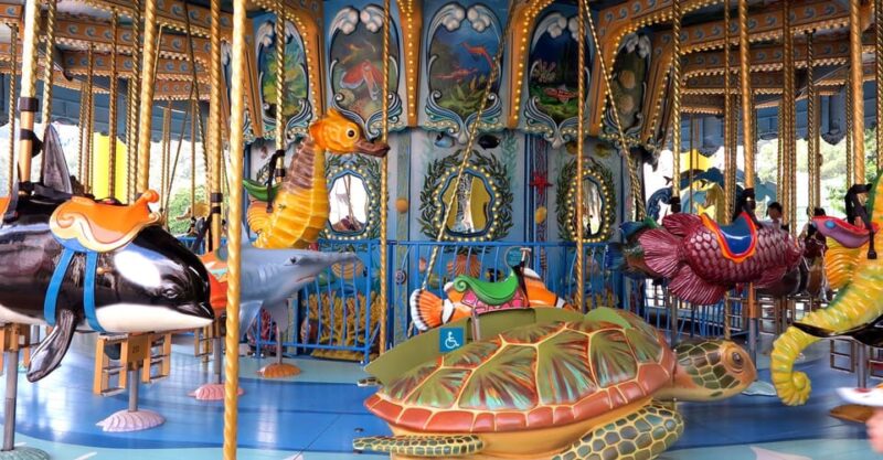 Ocean Park Tour With Standard Entry Ticket With Transfers - Live Shows