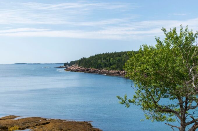 Ocean Path: Acadia Self-Guided Walking Audio Tour - Flexible Schedule