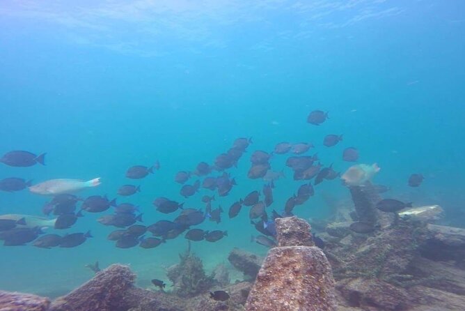 Ocean Reef Snorkeling and Paddleboarding - Post-Tour Refreshments