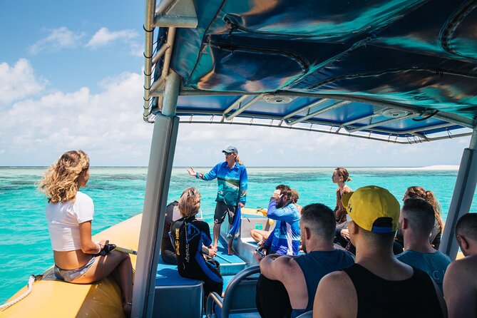 Ocean Safari Great Barrier Reef Experience in Cape Tribulation - Snorkeling and Underwater Discoveries