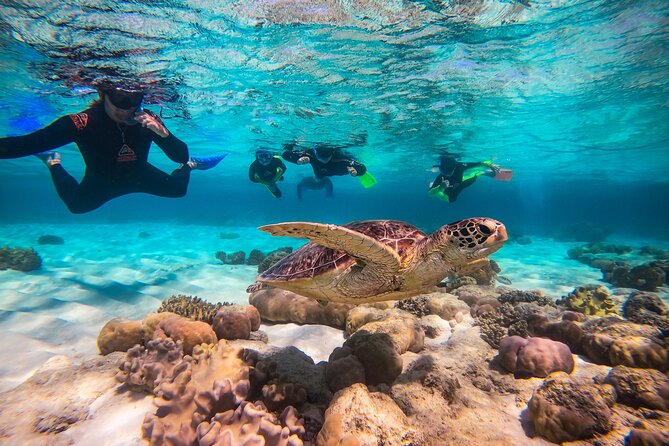 Ocean Safari Great Barrier Reef Experience in Cape Tribulation - Meeting and Pickup Information