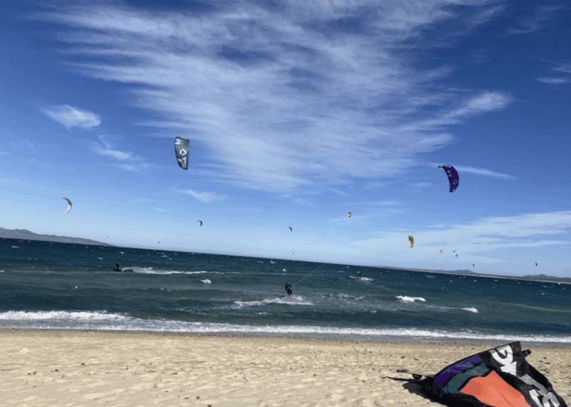 Ocean Safari in La Ventana BCS - Booking Information