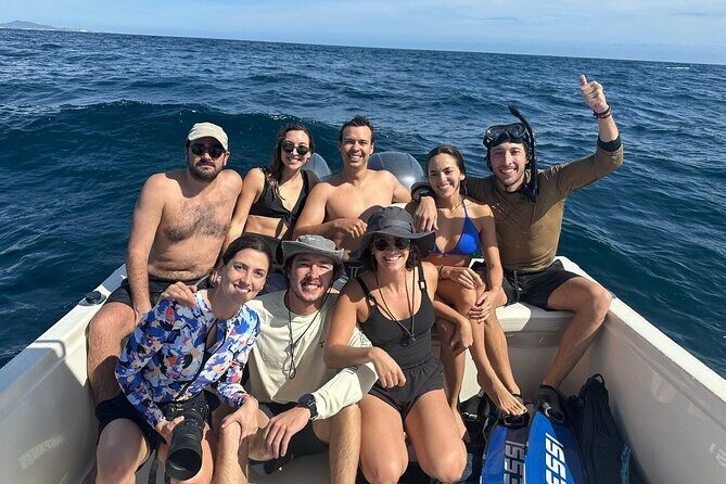 Ocean Safari in San Jose del Cabo - A Detailed Look at the Ocean Safari Experience