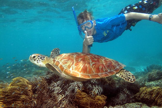 Ocean Spirit Sail to Michaelmas Cay Snorkel or Dive, From Cairns - Activities and Amenities Offered