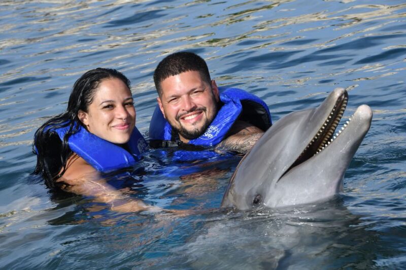 Ocean World Dolphin Swim & Sea Lion Combo From Puerto Plata - Transportation and Logistics