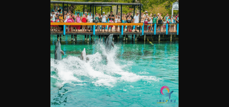 Oceanarium, ISLA Del R. and PLAYA Barú, by BOAT From Cartage - Pricing and Reservations