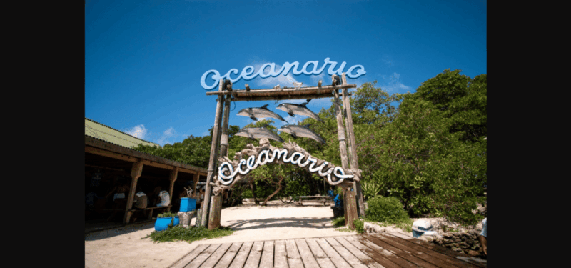 Oceanarium, ISLA Del R. and PLAYA Barú, by BOAT From Cartage - Itinerary Highlights