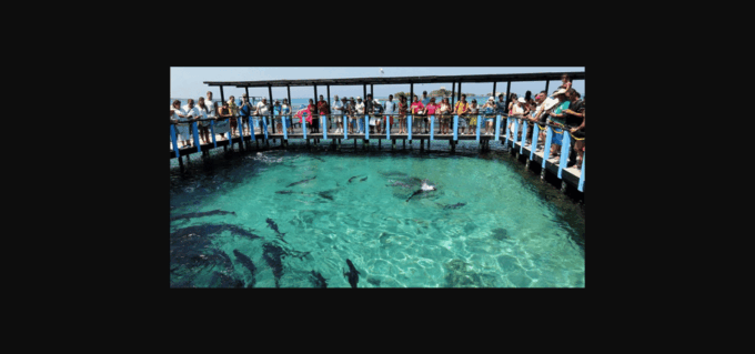 Oceanarium, ISLA Del R. and PLAYA Barú, by BOAT From Cartage - Activity Duration