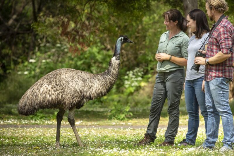 Oceans to Mountains Explorer: 3-Day Great Ocean Road Tour - Key Points