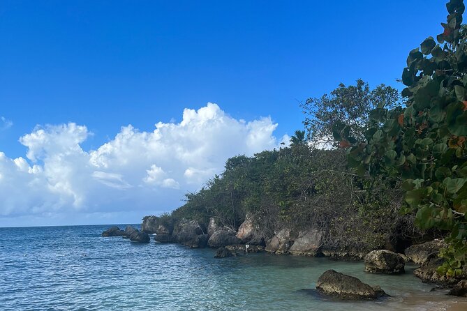 Ochi Rios Beach Day With Jerk Chicken Lunch - Transportation and Pickup Details