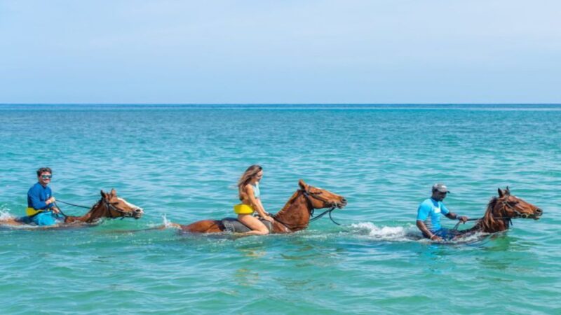 Ocho Rio: Dunns River Falls, Rafting, Horses & Ziplines Tour - Key Points