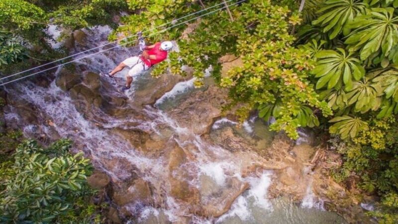 Ocho Rio: Dunns River Falls, Rafting, Horses & Ziplines Tour - Ziplining Adventure