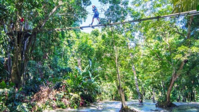 Ocho Rio: Dunns River Falls, Rafting, Horses & Ziplines Tour - Important Considerations