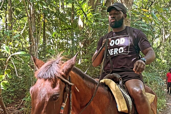 Ocho Rios ATV, Horseback Riding, Dunns River and Bamboo Rafting - Accessibility and Recommendations