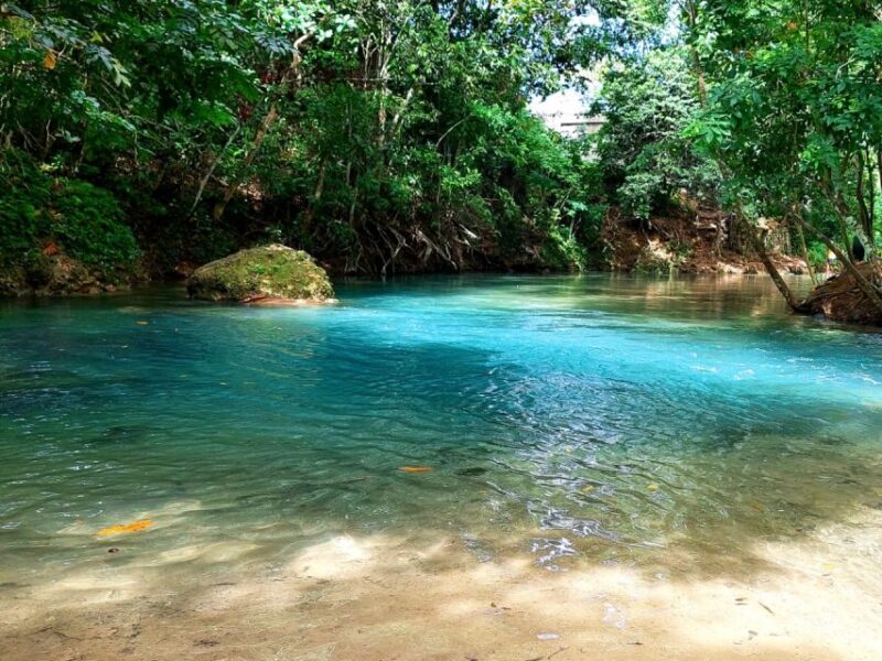 Ocho Rios: Blue Hole, Dunn's River & Reggae Hill Guided Tour - Customer Feedback