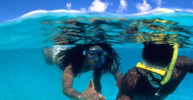 Ocho Rios: Caribbean Snorkeling Adventure - Booking Information
