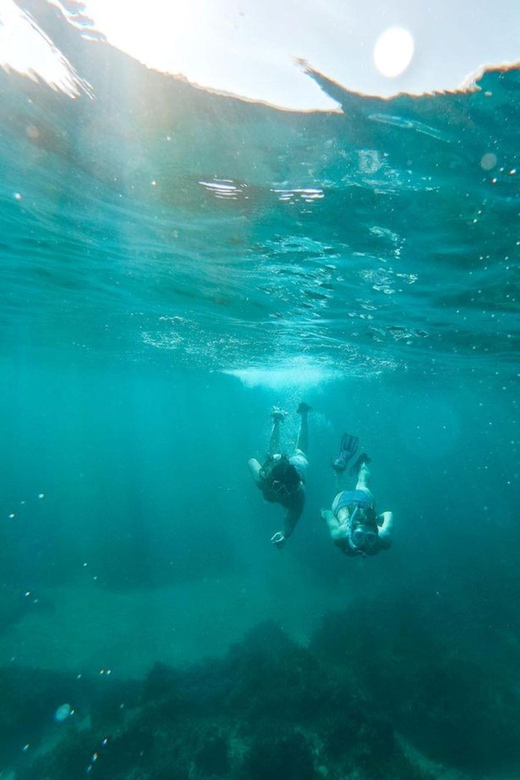 Ocho Rios: Caribbean Snorkeling Adventure - Experience Highlights