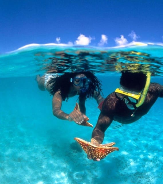 Ocho Rios: Caribbean Snorkeling Adventure - Suitable for All