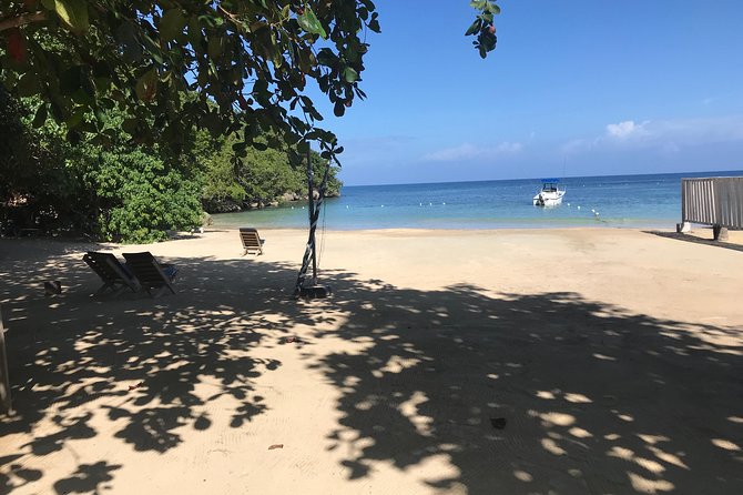 Ocho Rios City Bus Tour (Beach, Sightseeing & Shopping) - Highlights of the Tour