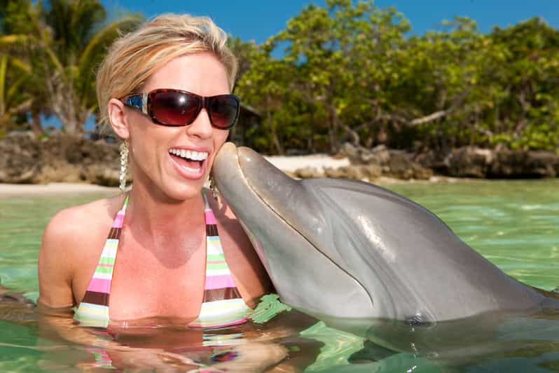 Ocho Rios Dolphin Cove Touch Encounter & Admission - Included Experiences and Highlights