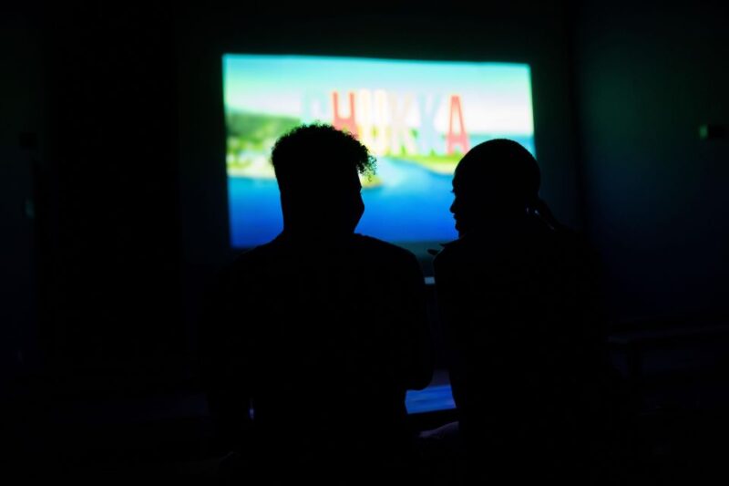 Ocho Rios: Dunn's River Climb & Zipline Over The Falls - Itinerary