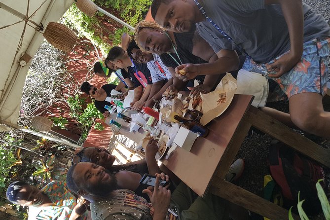 Ocho Rios For A Day / Private Customizable Tours / Jamaica Dream Vacation - Transportation and Amenities