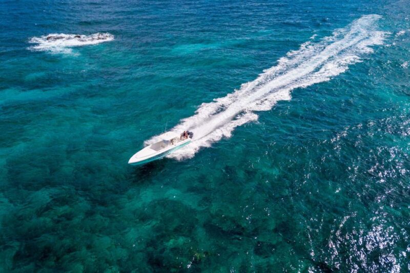 Ocho Rios: Full Day Powerboat Trip to Dunns River Falls - Key Points