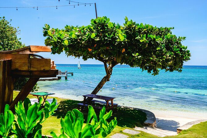 Ocho Rios Gourmet Jamaican Food and Private Beach Experience - FAQ
