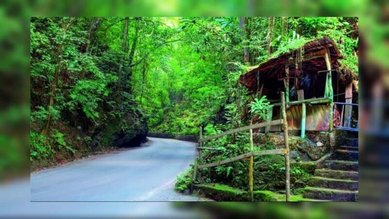 Ocho Rios: Guided Sightseeing Tour - Exploring Ocho Rios in a Short Time