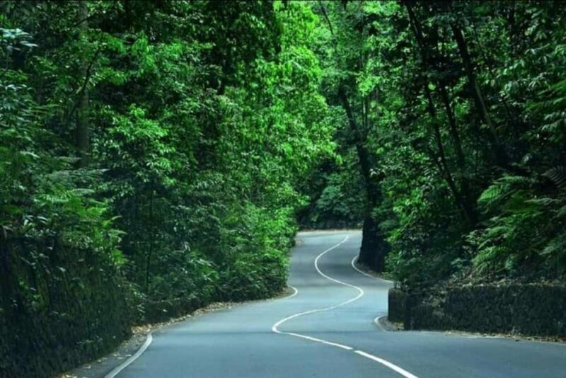 Ocho Rios: Guided Sightseeing Tour - FAQs