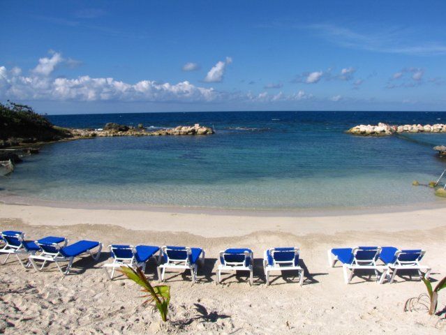 Ocho Rios: Half Day Dolphin Training - Activity Overview