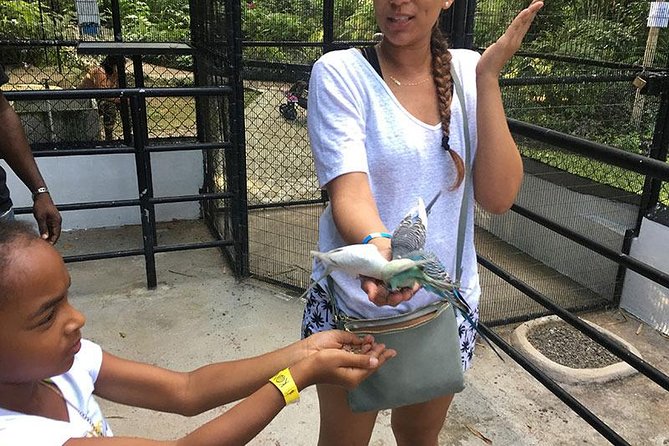 Ocho Rios Highlight & Blue Hole - Full Day Tour - Tour Schedule
