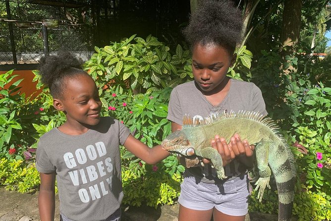 Ocho Rios Highlight & Blue Hole - Full Day Tour - Accessibility and Physical Fitness