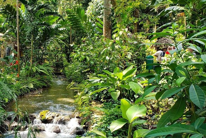 Ocho Rios Highlight & Dunns River - Full Day Tour - Tour Schedule and Availability