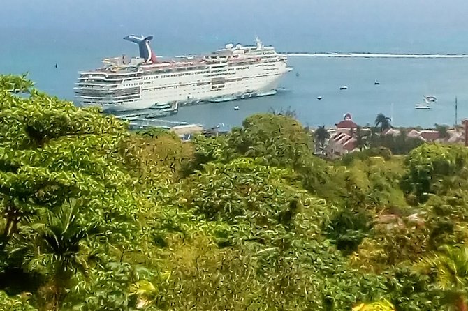 Ocho Rios Highlight Tour - Physical Fitness Requirement
