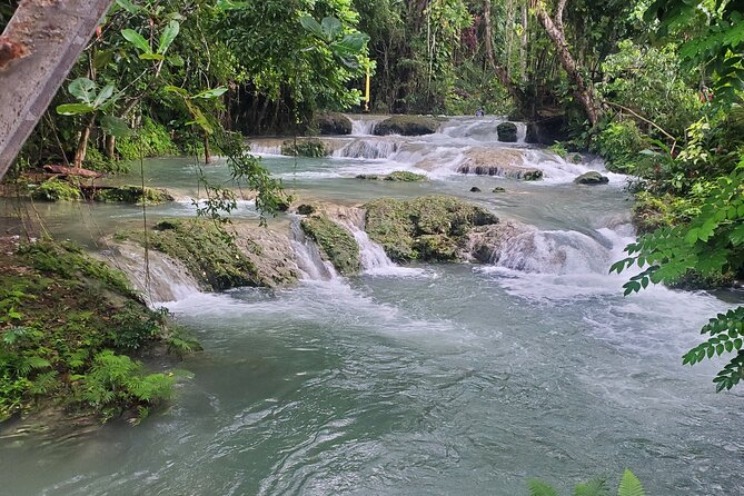 Ocho Rios Highlight With Blue Hole or Dunns River Falls From Montego ...