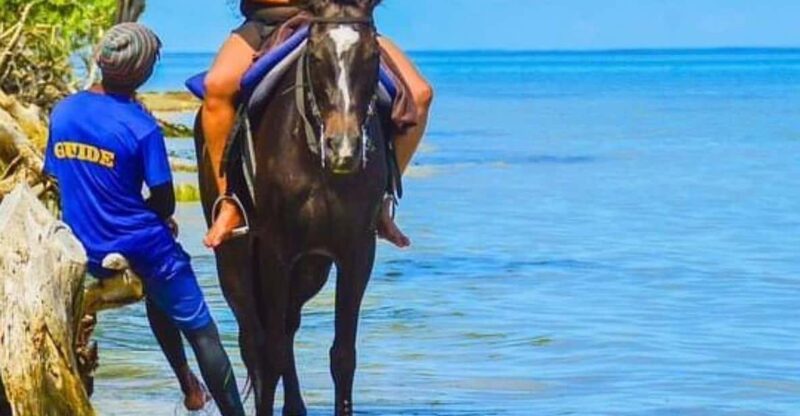 Ocho Rios: Horse Back Riding Transport - Transportation Highlights