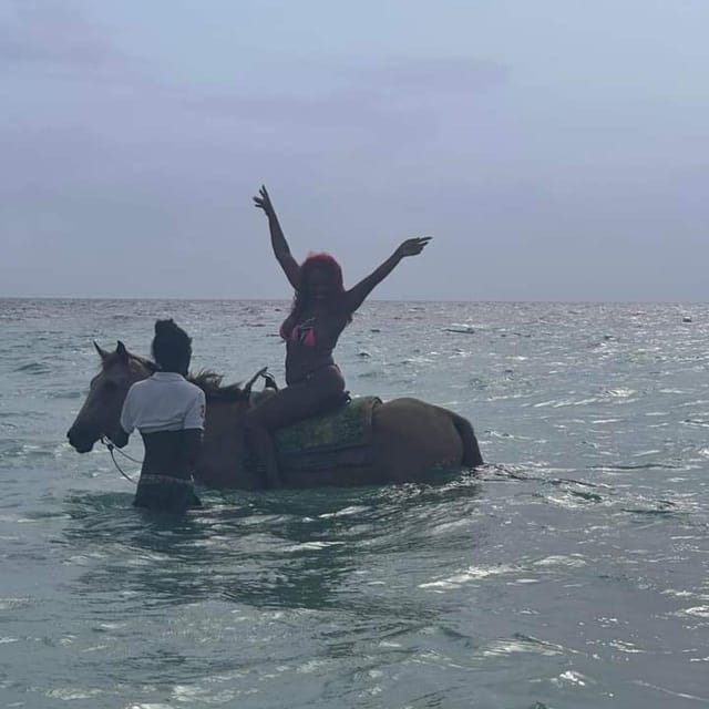 Ocho Rios: Horse Back Riding Transport - Additional Information